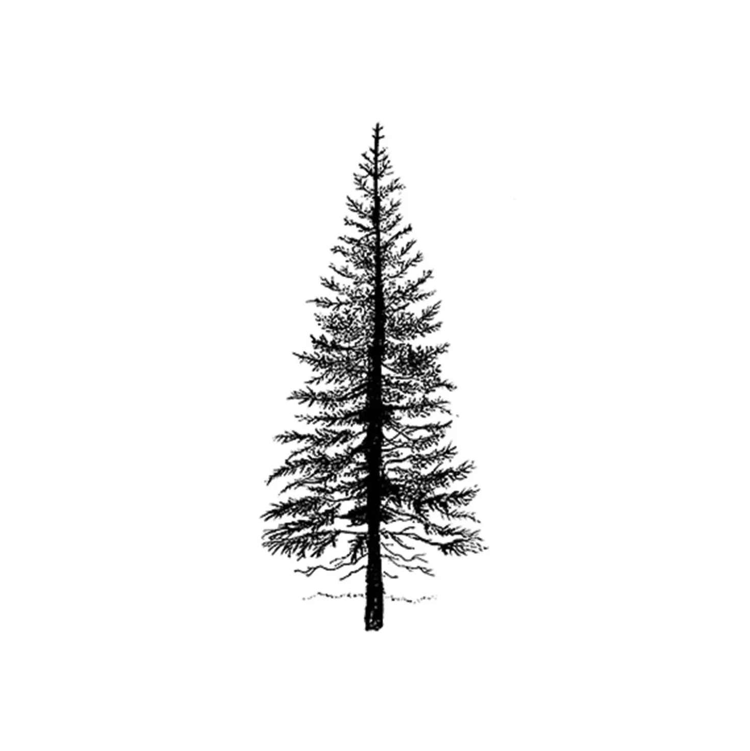 Lavinia Stempel, Fir Tree 1