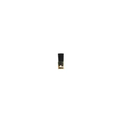 Léonard Kielpinsel Serie 309FP, Iltishaare, kurz