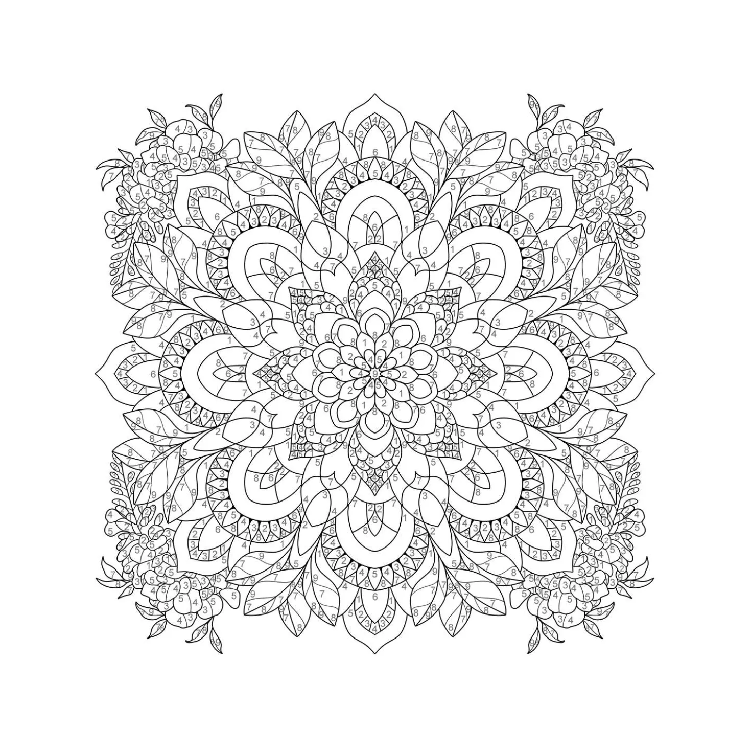 Mandala-Reise – Malen nach Zahlen
