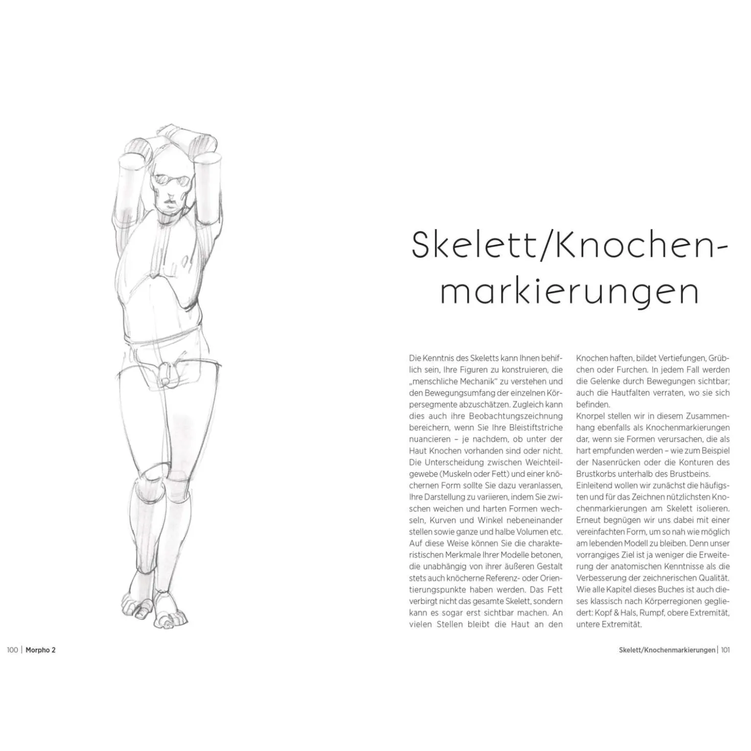 Morpho 2 - Mehr Anatomie für Künstler